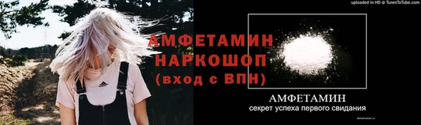 индика Новодвинск