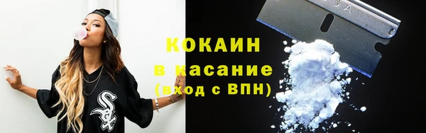 индика Новодвинск