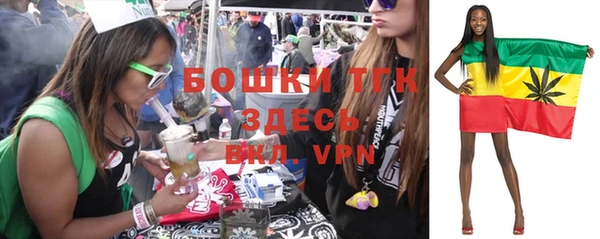 прущие грибы Белоозёрский